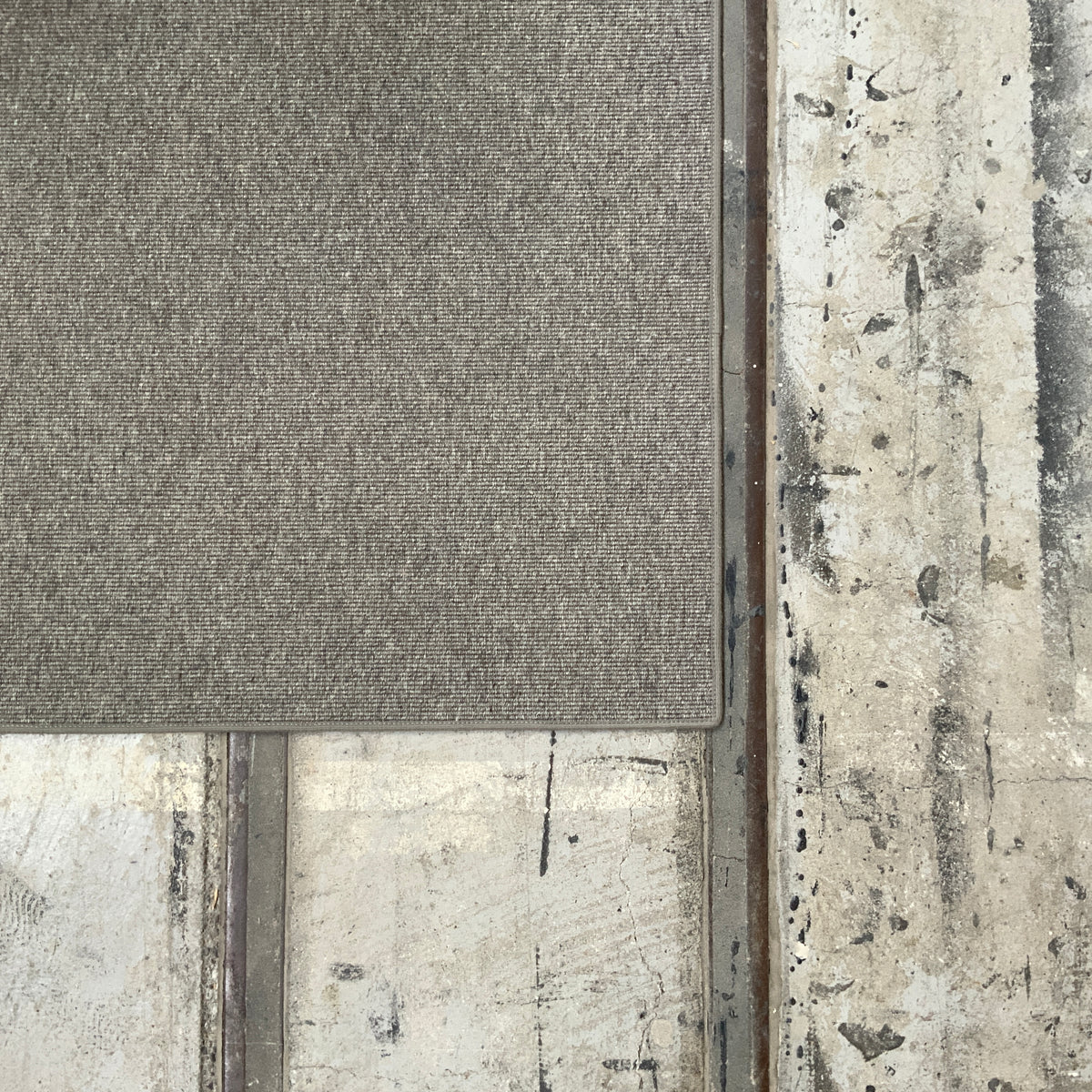 Haargarn-/Schurwollteppich Rep 653 grau 300 x 300 cm