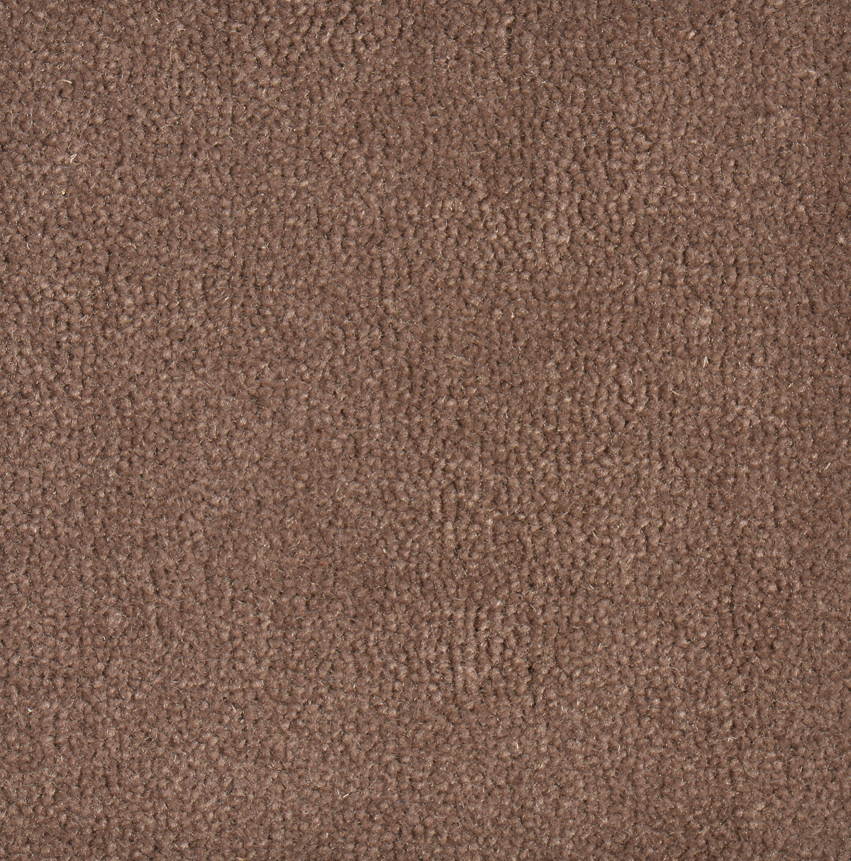 Wollteppich Bilbao 20425 nougat 220 x 320 cm