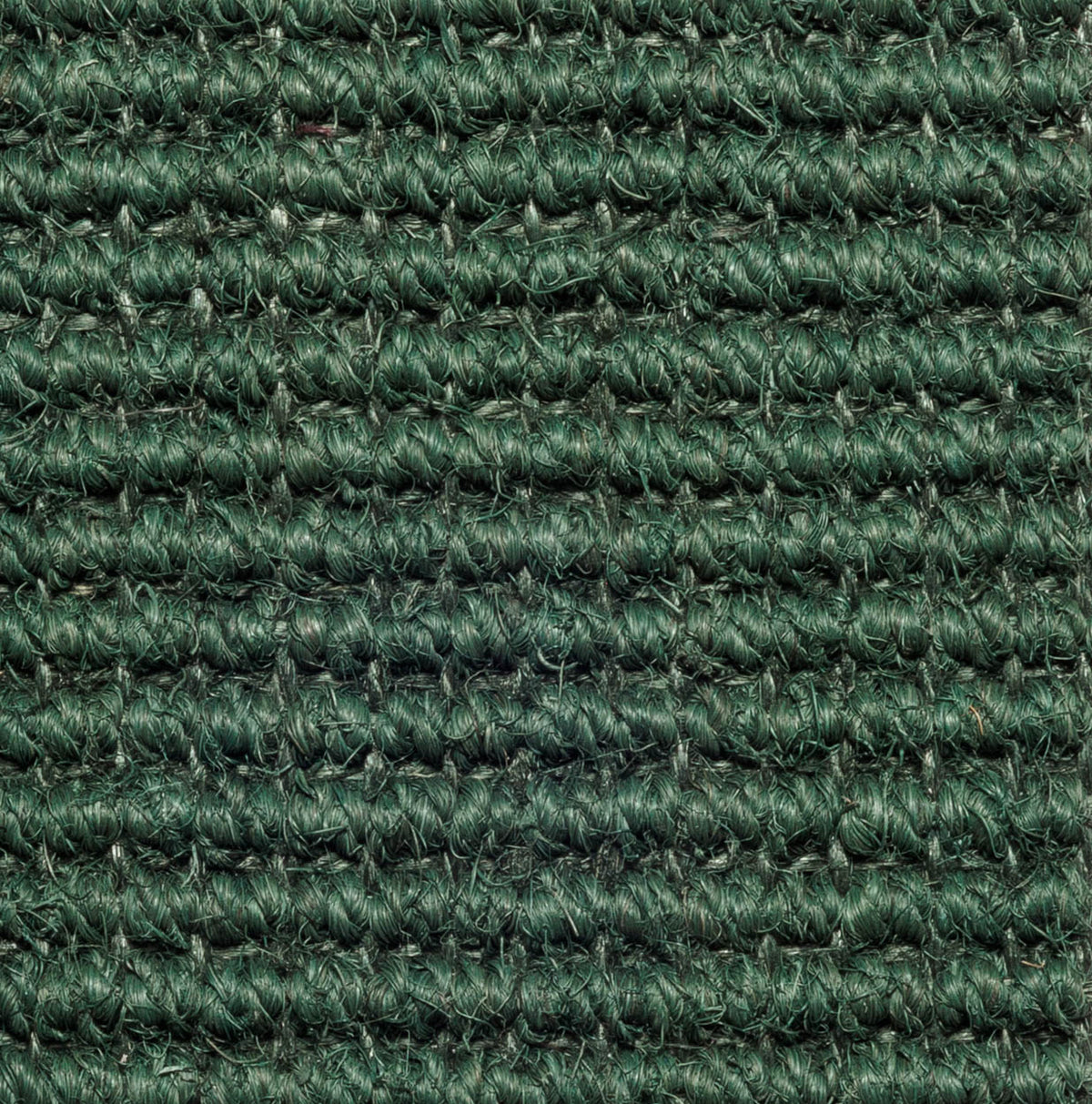 Kokosteppich Calicut 464 malachitgrün 190 x 280 cm