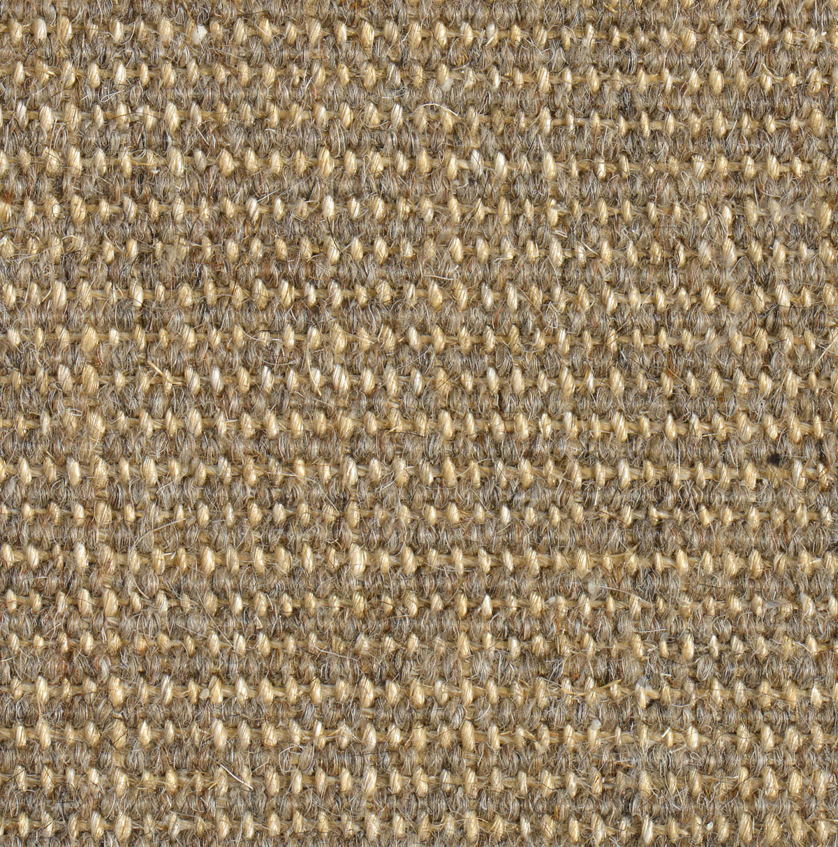 Haargarn-/Sisalteppich Dry 628 naturgrau 200 x 300 cm