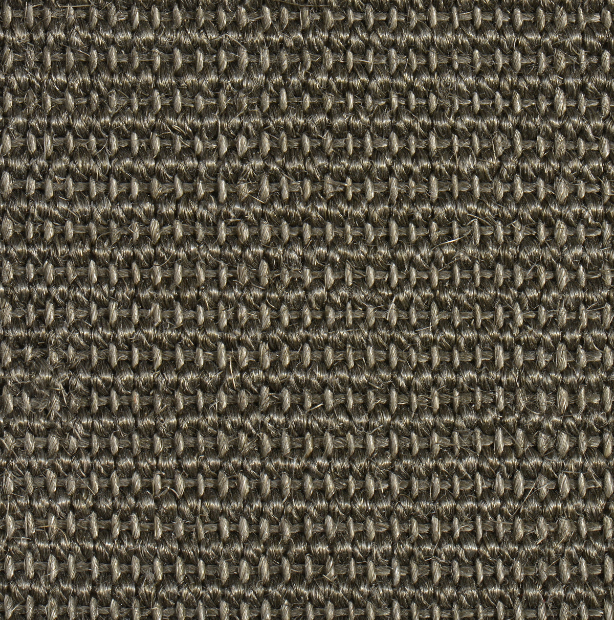 Sisalteppich Jaipolino 60206 platin 150 x 200 cm