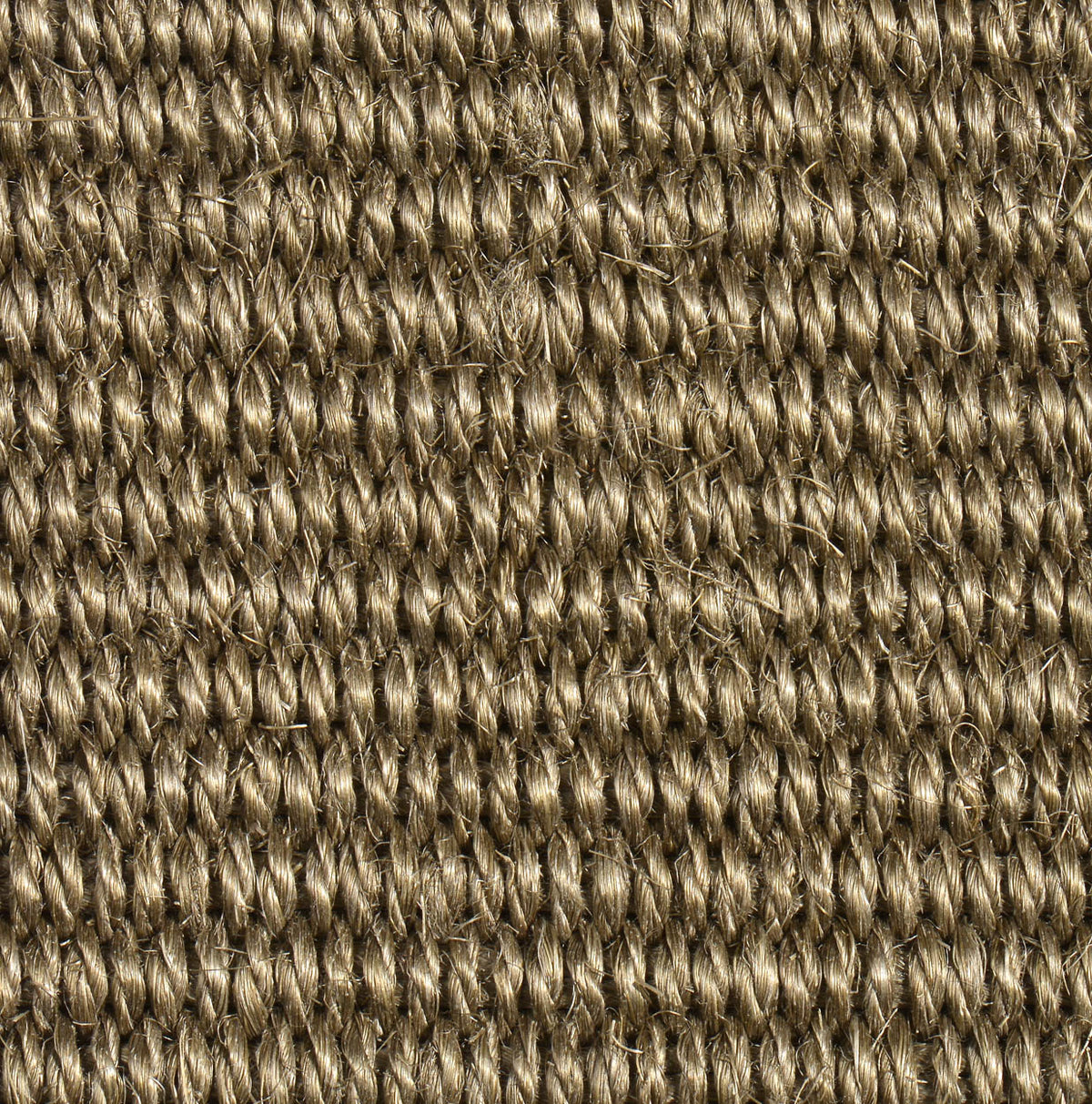 Sisalteppich Manila 40161 schilfgrün 250 x 350 cm