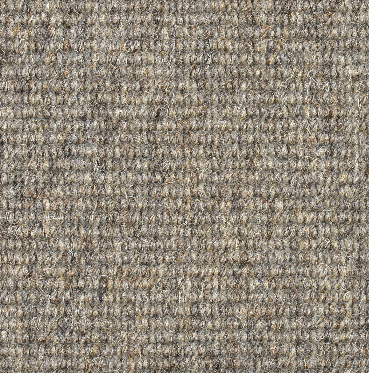 Haargarn-/Schurwollteppich Rep 653 grau 300 x 300 cm