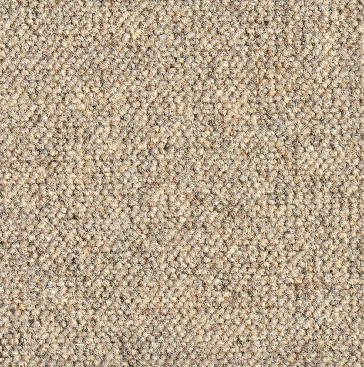 Schurwollteppich antistatisch Rollerwool 230 hellbeige 132 x 230 cm