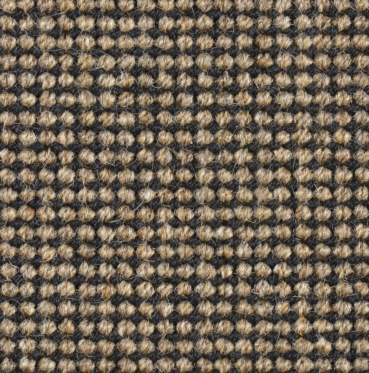 Haargarn-/Wollteppich Trap 240 schwarz-natur 225 x 350 cm