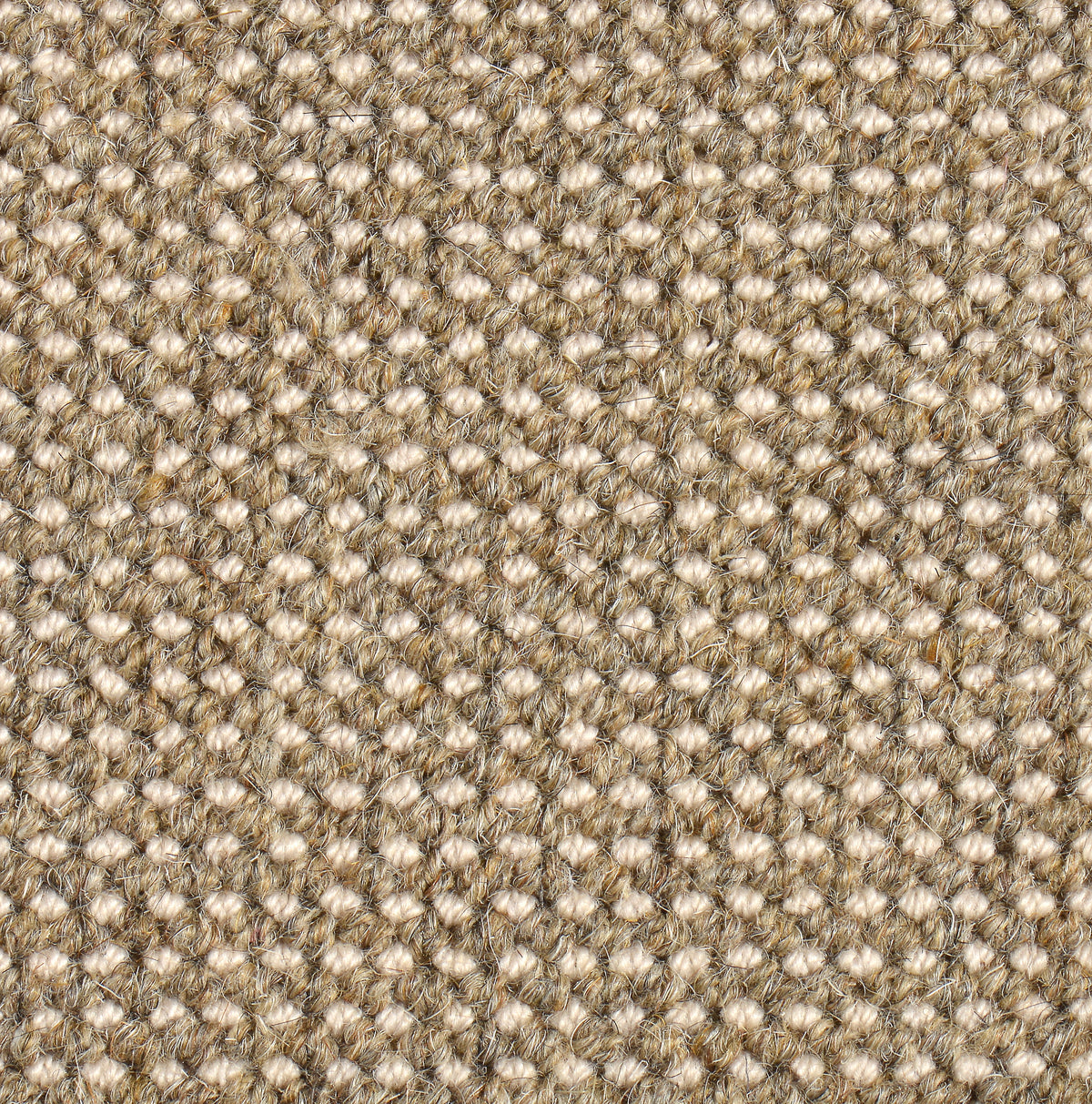 Haargarn-/Wollteppich Trap 283 beige-natur 250 x 380 cm