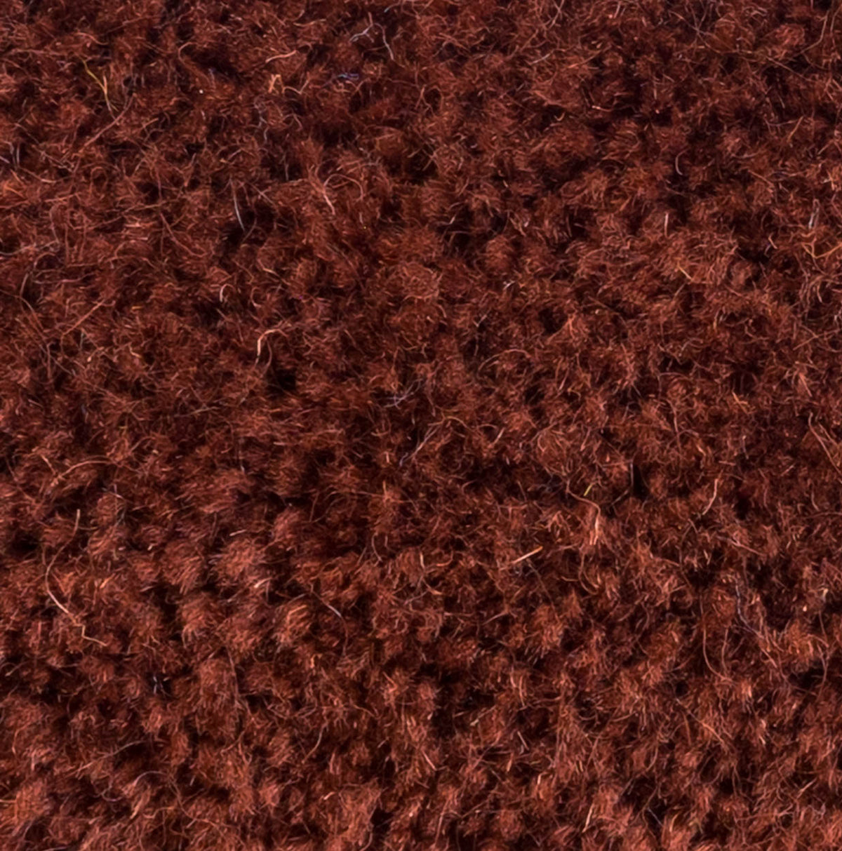 Wollteppich Velvet 22 10310 ruby 180 x 280 cm