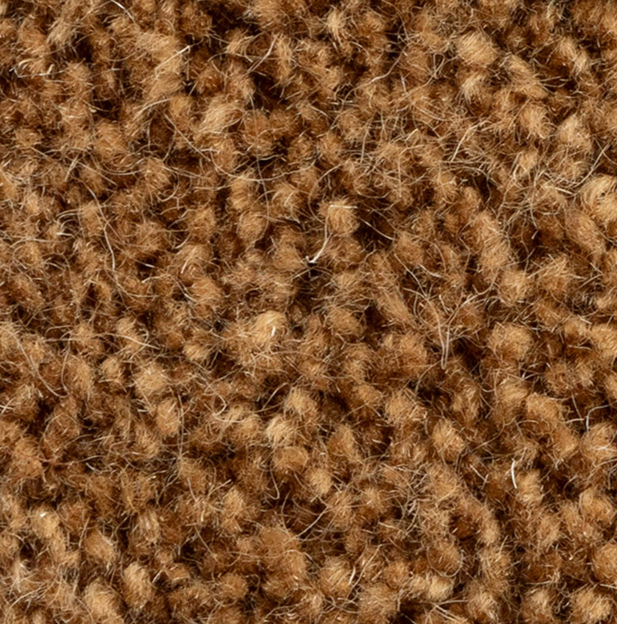 Wollteppich Velvet 22 20491 rosewood 260 x 457 cm