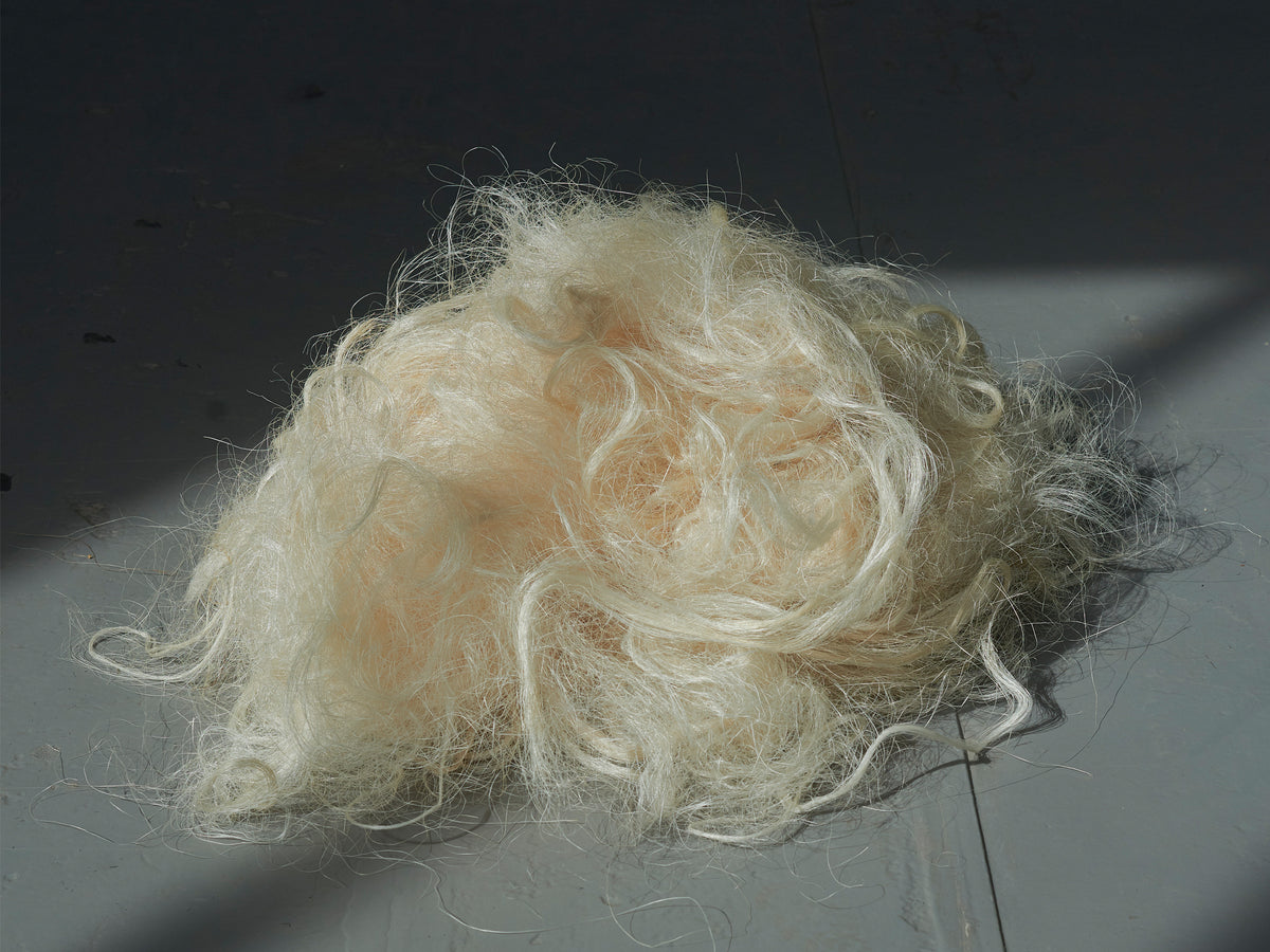 Sisal